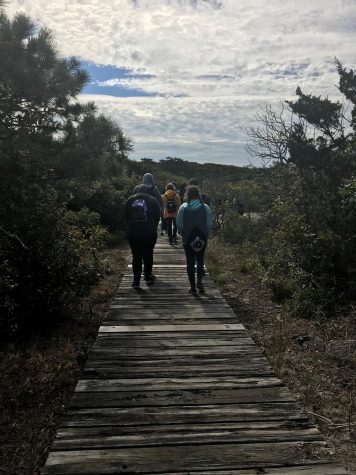 Monarchs and Mosquitoes: AP Biology Students Visit Fire Island