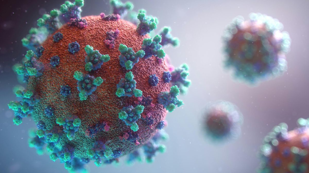 Image courtesy of Fusion Medical Animation via Unsplash.