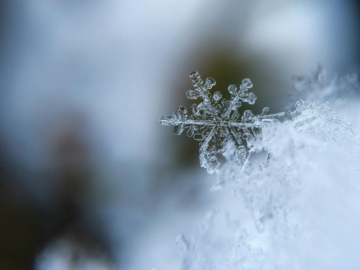 Image courtesy of Aaron Burden via Unsplash
