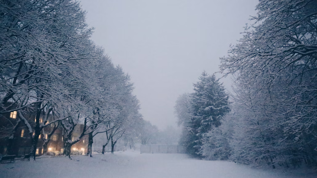 Image courtesy of Cloris Ying via Unsplash